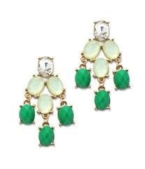 Oval Acrylic Faceted Earrings