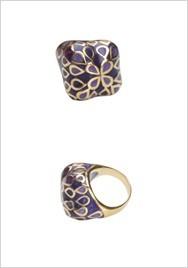 Ring Stainless steel enamel . 666R6101