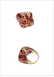 Ring Stainless steel enamel . 666R6101